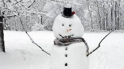 Vernon. Residents at Great Gorge Condos in Vernon Township built a snowman during the winter storm on Sunday and Monday.