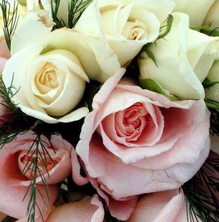 An Evening of Wine & Roses will feature celebrity chef and author