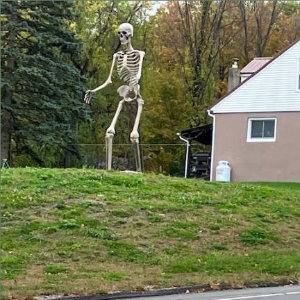 No Bones About it; Halloween is coming