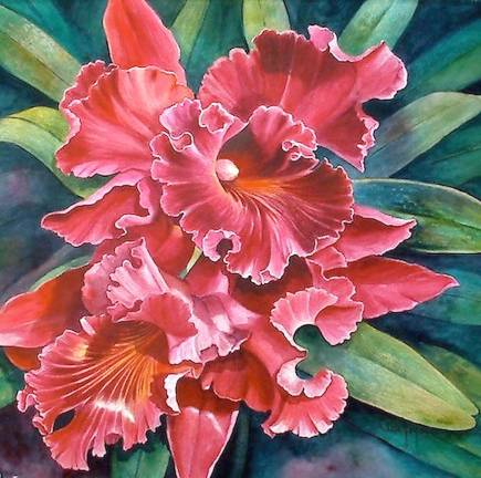 Orchids by Rita Joyce