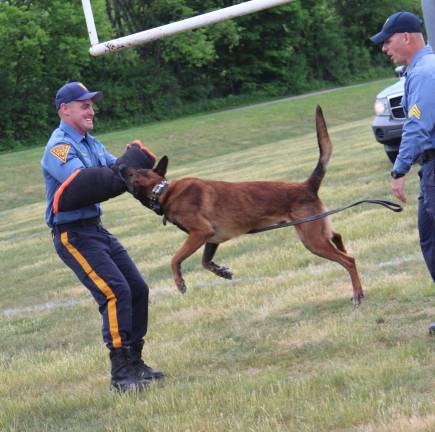 K-9 Unit demonstration to find explosives at Wantage Day on May 30.