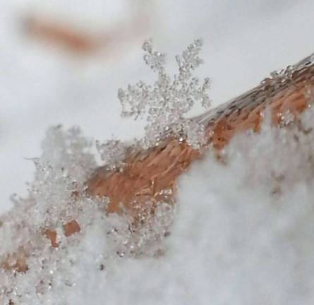 Photo by Gale Miko Snowflakes falling in Wantage during last week's snowy weather.