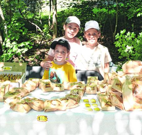 <b>Julian, Olivia and Adrian Osiashvill of Cresskill sell sourdough bred and cookies.</b>