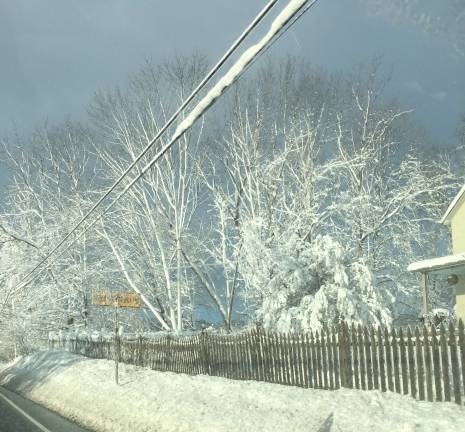 This photo submitted by reader Donna Conti.