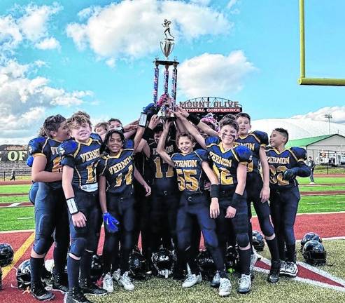 Pee wee Vikings win conference title