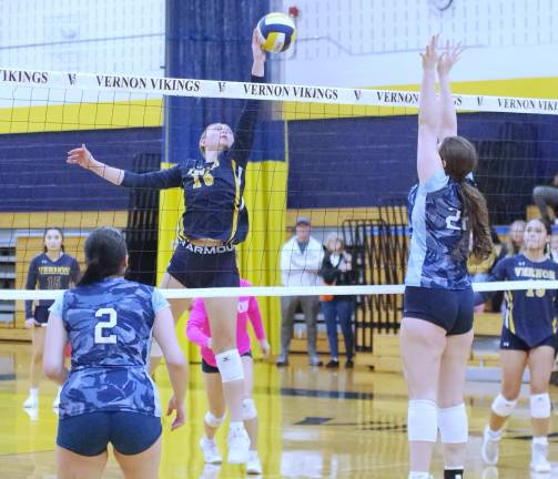 <b>Vernon's Ava Pecoraro gets a hand on the ball above the net. Pecorano had 7 kills and 1 block.</b>