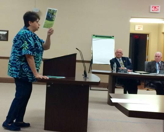Photo by Diana Goovaerts Vernon Township Historical Society President Jessi Paladini shows a photo of the overgrown Black Creek site to the Vernon Township Council on Monday.