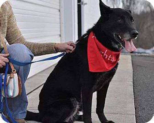 Rescue Round-Up