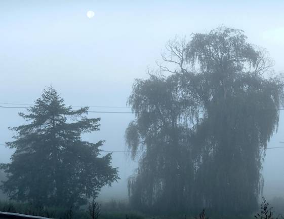 Just before dawn the beautiful Harvest Moon (the Full Moon closest to the Autumn Equinox) could still be seen through the fog on Rt.94