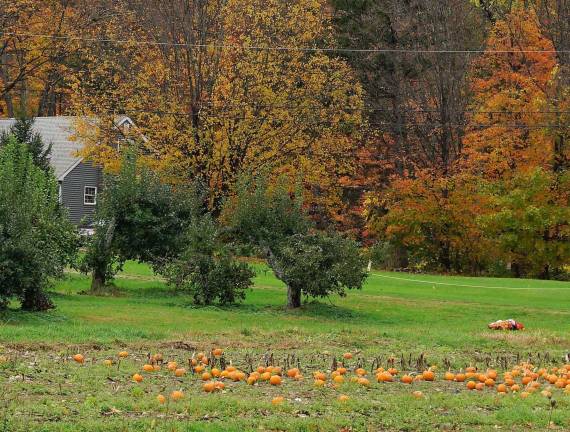 Where in Glenwood? Pochuck Valley Farms pumpkin patch