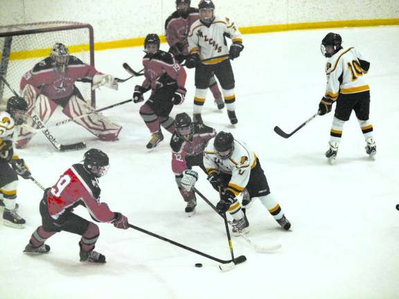 High Point-Wallkill Valley defeated Jefferson Township in high school hockey on Saturday, Feb. 8.