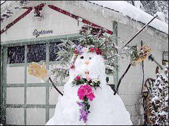 Snow Daze