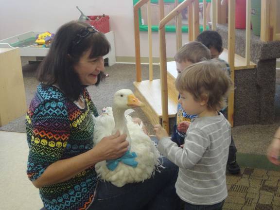 Photo by Scott Baker Owen Timmel, 2, of Hamburg, gets up close and personal with Oliver.