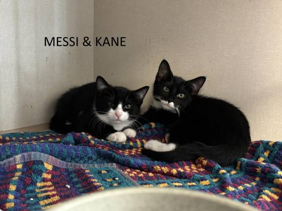 Meet Messi &amp; Kane