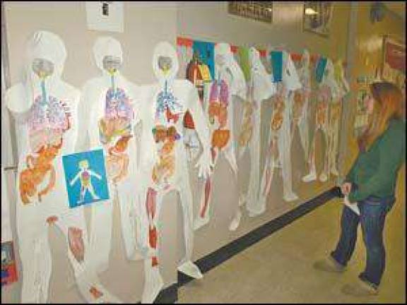 Walking through the year of learning
