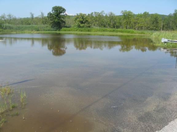 PHOTOS BY JANET REDYKE This is not one of Vernon's lakes, it's the parking lot of the ball field on Vernon Crossing Road.