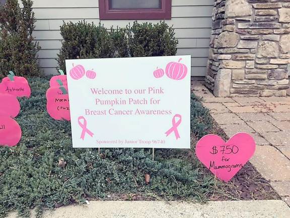 Hardyston Girl Scouts’ Pink Pumpkin Patch raises money for breast cancer awareness