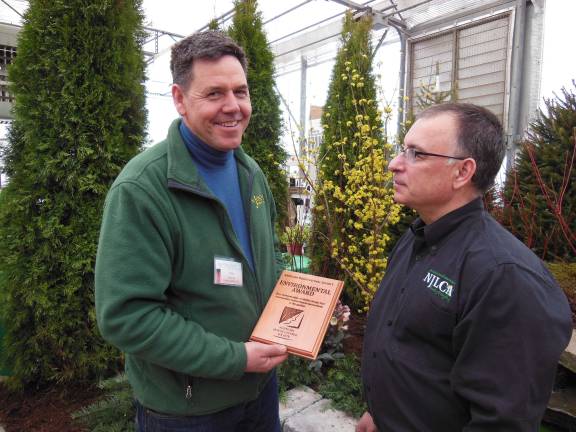 Award winning garden display