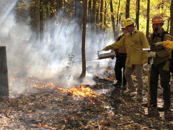 High Point Regional High School Principal Jon Tallamy helps light a prescribed burn on a quarter-acre of forest behind the school. He is watched by members of the New Jersey Forest Fire Service. (Photo by Kathy Shwiff)