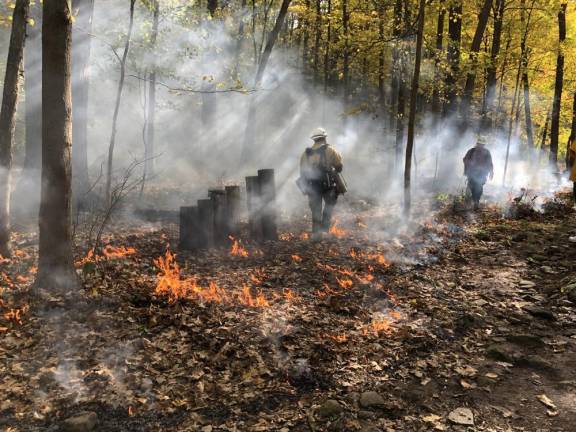 New Jersey Forest Fire Service staffers do a prescribed burn on a quarter-acre of forest behind High Point Regional High School. (Photo by Kathy Shwiff)