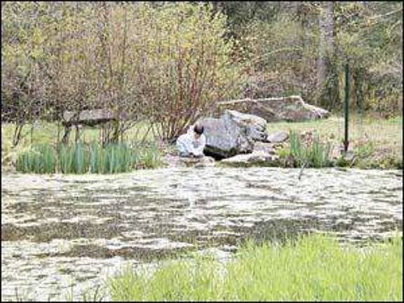 Botanical garden presents spring wildflower walk