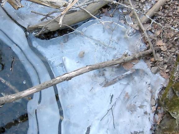 Off the bridge, ice still made an appearance in the park's stream.