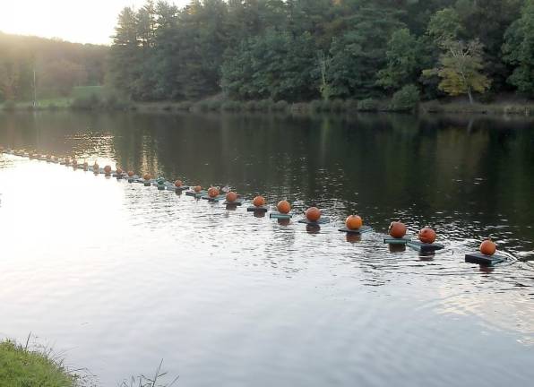The pumpkin float (Photo provided)