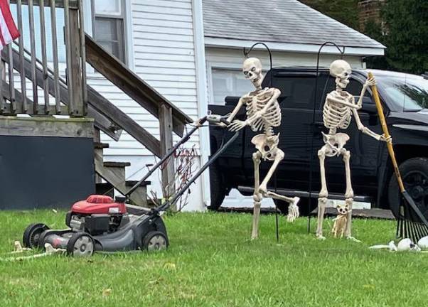 No Bones About it; Halloween is coming