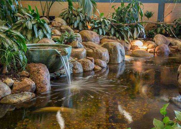 How much does a Koi Pond or Water Garden cost?
