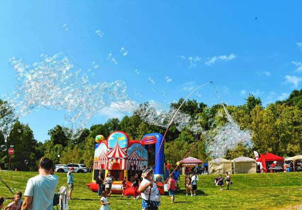 Photos: Vernon Street Fair