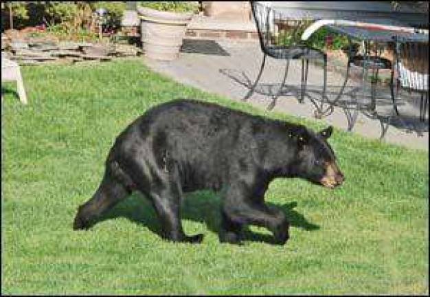 Vernon Inn gets approval for lot; agrees to cooperate with neighbors