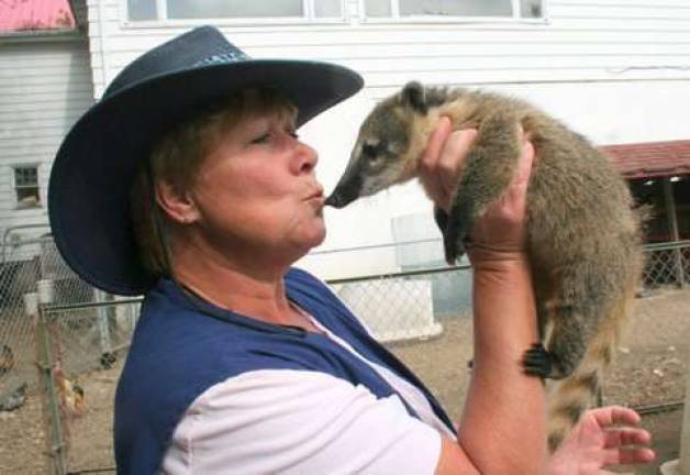 Lori Space Day compares noses with a coatimundi.