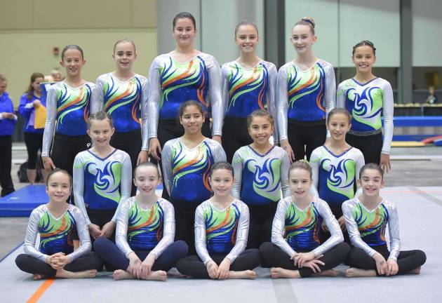 The silver and gold level Gators are shown. Front row: Kate Sutphen, Meghan Smith, Katie Hlywa, Fiona Postas,and Meghan Ward; second row, Maddie Blanford, Emily Rodriguez, Mia Ganter and Isabella Salazr; top row, Caroline Dietz, Reese Abrams, Morgyn Witt, Audrey Biss, Kelly Cardell and Emily Auer