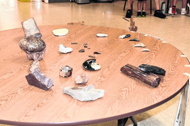 <b>Fossilized dinosaur eggs and bones are placed on a table.</b>