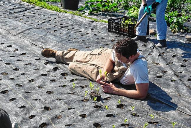 Volunteers lend a hand - and backs