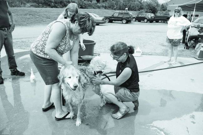 Linda Smigen of Barry Lakes brought her golden retriever ìPhoenixî for a bath. At right, DOGS volunteer and member of the board of directors Kerri Yezuita is shown going through the rinsing cycle.