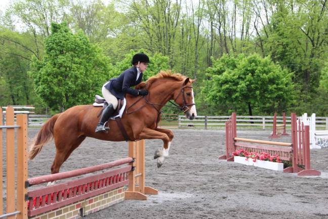 Horse jumping on Pet Expo day at the fairgrounds.