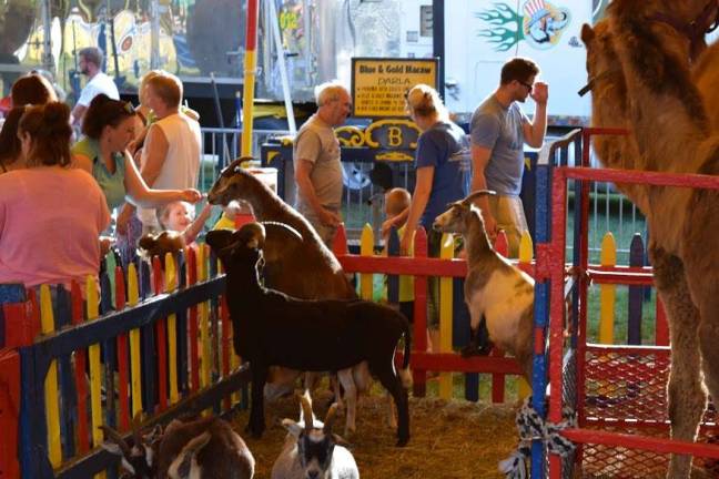 Children get up close and personal with some goats.