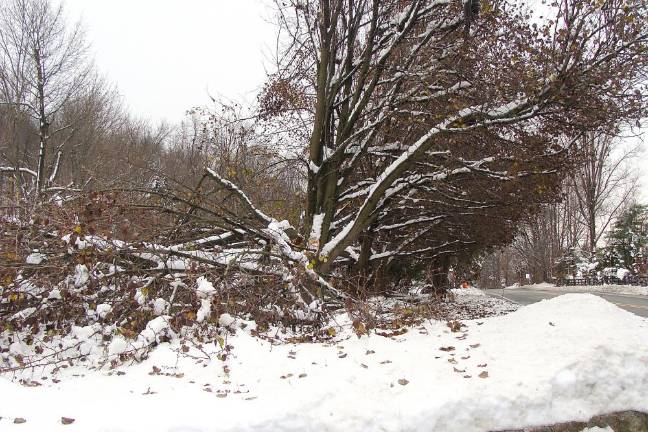 Scenes like this were common in Vernon as well as across Sussex County.