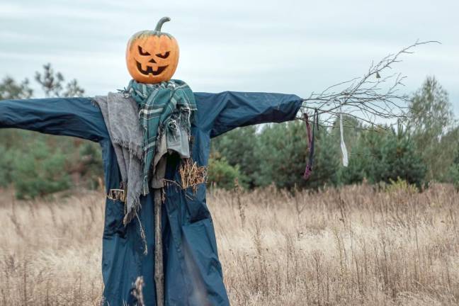 Vernon Chamber to hold scarecrow contest