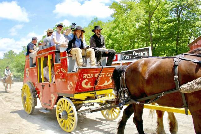 Young woman drives the stagecoach