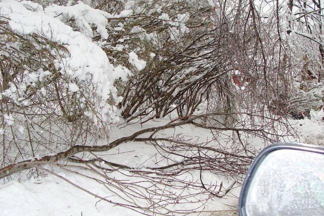 Coated ice and heavy snow tumbled trees onto power lines causing outages for thousands.