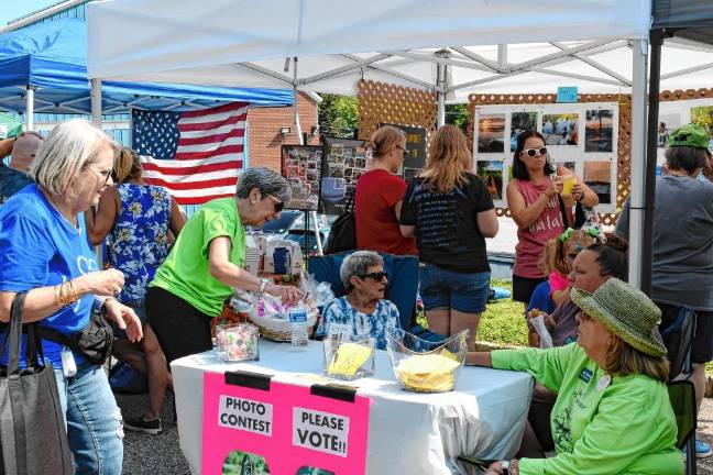 <b>Street Fair attendees were asked to cast votes in a photo contest organized by the Vernon Chamber of Commerce and Vernon Township Women’s Club.</b>