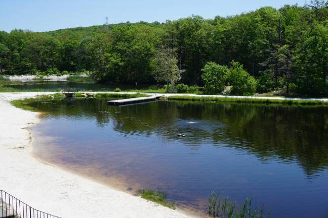 Heater's Pond (Photo by Vera Olinski)