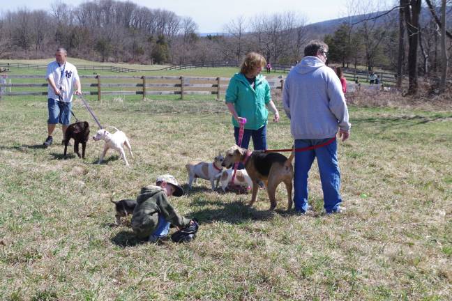 When hunting for Doggie Easter Eggs everybody gets into the act.