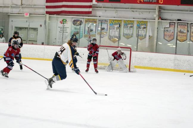 Vernon's Christopher Gay lines up the puck for a shot. He scored one goal and made four assists.