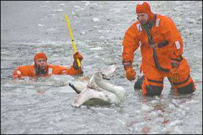 Rescue