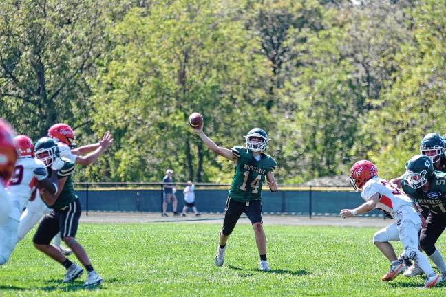<b>Sussex Tech quarterback Cole Young throws the ball.</b>
