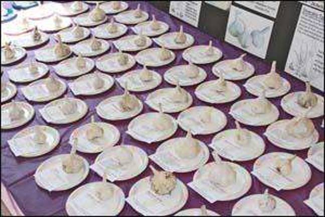 Wheatsworth projectin permit dispute