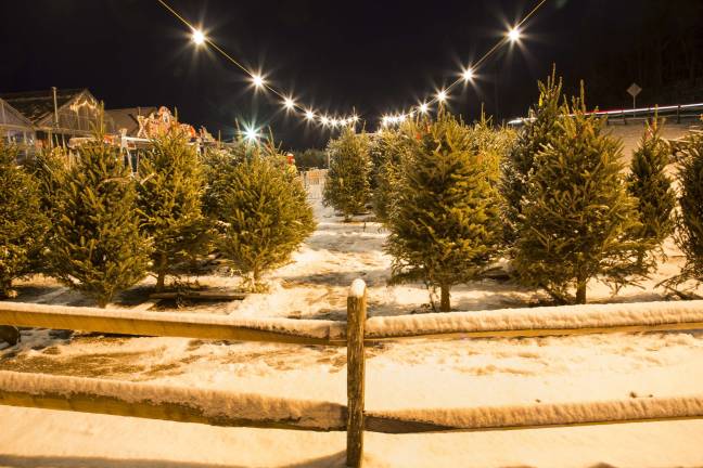 Photo by Robert G. Breese Overhead lights sparkle, Holiday trees ready, wrapping tables and a chainsaw for trimming on Tuesday evening after a fresh snowfall.
